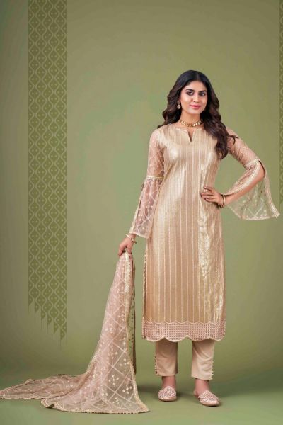 Embroidered Net Light Brown Salwar Suit (NWS-6841)