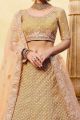 Gold Soft Net Gota Silk Lehenga Choli (NWG-561)