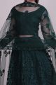 Green Net Lehenga Choli (NWG-1182)