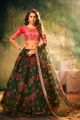 Green Organza Womens Lehenga Choli (NWG-1263)