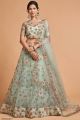 Green Soft Net Lehenga Choli (NWG-1071)