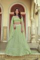 Light Green Georgette Lehenga Choli (NWG-791)