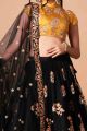 Net Embroidered Lehenga in Black (NWG-1274)