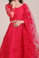 Pink Net Lehenga Choli (NWG-1108)