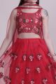 Red Net Womens Lehenga Choli (NWG-1180)